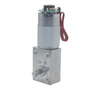 Accessori fai da te Motoriduttore 12V Motoriduttore vite senza fine turbo autobloccante con encoder, alta potenza e coppia elevata Motoriduttore 24V DC Estremamente resistente motore speciale (Color