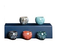 Accessori for il tè Teedose Set di tazze in ceramica Teeware Teware for 5 persone for la cerimonia Samovar