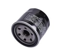 Accessori for motociclette Detergente for filtro olio for Ar-ctic Cat Side XSide Prowler Pro Ranch 50 2023 Prowler Pro XT EPS 50 Phantom(2pcs)