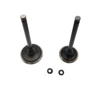 Accessori Kit valvola 1 pezzo e 1 pezzo adatto for 500 CC P002000147110000 P002000147210000