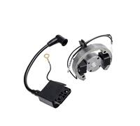 Accessori Moto Bobina Di Accensione Pit Bike E Rotore Interno Statore Magneto Per Gy6 Estator Bobina