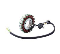 Accessori moto universali Statore bobina generatore di accensione per Suzuki GN250 TU250 32101 38302 GN TU 250 Statore magnetico bobine