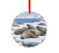 Accessori per auto, motivo tricheco appoggiato sul ghiaccio, per specchietto retrovisore, adatto per decorare alberi di Natale, uffici, camini, interni auto o ovunque si voglia decorare