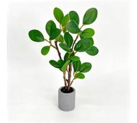 Accessori per casa delle bambole in miniatura in scala 1:12, pianta verde artificiale in vaso, mobili per casa delle bambole per layout di micro paesaggi, ornamento da collezione per adulti