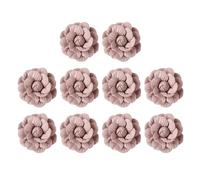 Accessori per Chioma a Fiore di Camelia in Microfibra 10 Pezzi Rosa | Costumi e Abiti, per DIY Decorativo, Copre Macchie e Personalizza L'abbigliamento
