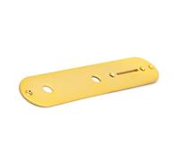 Accessori per Chitarra Piastra Di Controllo Dell'interruttore In Metallo Per Copertura Del Cablaggio Del Potenziometro Della Chitarra Elettrica Con Vite Di Montaggio Parte Della Chitarra (Color : 03