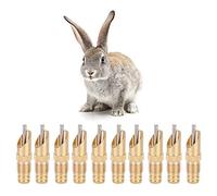 Accessori per gabbia per attrezzi per acqua potabile con capezzolo per bevitore automatico di volpe da 10 pezzi