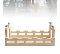 Accessori Per Il Design Del Ponte A Forma Di Cavia Corridoio A