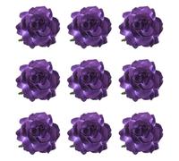 Accessori per in poliestere | Fascia per in stile vacanza | Clip laterale colorata per eventi da celebrità su Internet