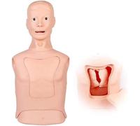 Accessori per la casa, Modello di addestramento alla tracheostomia, deglutizione del sondino gastrointestinale, simulatore di addestramento all'alimentazione TR