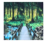 Accessori per la fotografia naturalistica, design personalizzabile, decorazione multiuso, tessuto in poliestere di alta qualità, sfondo foresta