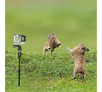 Accessori per montaggio a terra per fotocamere da trail e paletti | lunghezza regolabile | inclinazione regolabile 1/4 - 20 testa a sfera | adatto per fotocamera scouting Hunt e Gopro Action Camera