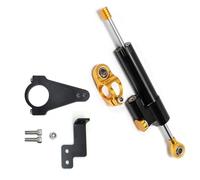 Accessori Per Moto Ammortizzatori Di Sterzo Universali Regolabili Ammortizzatore Direzionale Supporto Di Conversione Tampone Dello Sterzo(Steering damper F)
