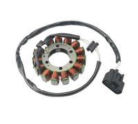 Accessori per motociclette 21003-0083 Bobina Statore Motore Generatore Magneto Per Motocicletta Per Kawasaki Per Ninja 600 ZX-6R ZX600R9F ZX600RAF ZX600RBF ZX600RCF ZX600R9FA ZX600RAFA