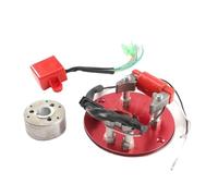 Accessori per motociclette: Bobina statore Magnete, Kit di Montaggio statore rotore Interno Magnete per Scooter, Go-Kart, ATV e Quad da 50 110 125 140 150 CC.