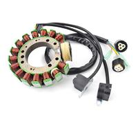 Accessori per motociclette Bobina Statore Magnete Per Moto Per Yamaha Per Big Per Bear 350 4WD 2WD Moto-4 WARRIOR 2NL-85510-20 2XK-85510-20 1UY-85510-20 1YW-85510-21