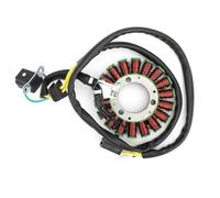 Accessori per motociclette Bobina Statore Magneto-generatore Per Suzuki DF125 DF125EY 2000 DR125SE 1994 1995 1996 1997 1998 1999 2001 2002 32101-42A40