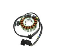Accessori Per Motociclette Per CF250SR Per NK250 Statore Rotore Bobina Combinazione Magnete Di Accensione Motore