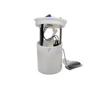 Accessori Per Parti Di Ricambio Del Veicolo Per Unità Di Assemblaggio Del Modulo Della Pompa Del Carburante Compatibile Con Ford Per Fiesta Ikon 3N219H307AC Pompa Benzina Modulo