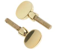 Accessori per Strumenti Sassofono Accessorio Per Strumento A Fiato Con Vite Di Serraggio Per Vite Dorata Per Sassofono Da 2 Pezzi
