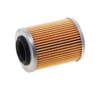 accessori per tosaerba Filtro olio 0800-011300-0004 for c-moto Cforce 850 ATV SSV UTV CF ZF UF 1000 550 800 CF450 400 520 500 625 600 X8 850