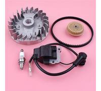 Accessori per tosaerba Kit di cinghia di distribuzione, puleggia, ingranaggio, bobina di accensione, volano, albero a camme, adatto for motore di piccola cilindrata Hon GX35 GX 35 a 4 tempi, pezzo di