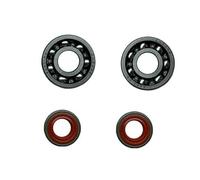 Accessori per utensili Kit set paraolio cuscinetto albero motore compatibile con Stihl FS350/FS400/FSR450/FS480/FS450 decespugliatore