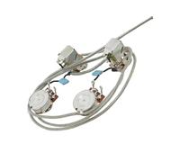 Accessori Professionali Kit Di Cablaggio Per Chitarra Precablato 2T2V Con Potenziometro Da 500K Cablaggi Per Chitarra(333G push)