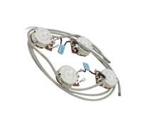 Accessori Professionali Kit Di Cablaggio Per Chitarra Precablato 2T2V Con Potenziometro Da 500K Cablaggi Per Chitarra(333G 500K)