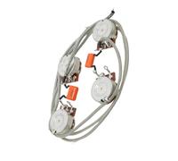 Accessori Professionali Kit Di Cablaggio Per Chitarra Precablato 2T2V Con Potenziometro Da 500K Cablaggi Per Chitarra(333J 500K)