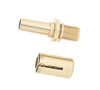 Accessori Professionali per Corno Francese Corno francese Treno del respiro Valvole di riduzione della pressione corrette Parti del correttore della bocca del corno (Color : Gold)