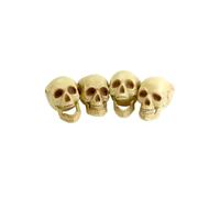 Accessorio Decorativo Per Festa Di Halloween Teschio Testa x4 Scheletro Nuovo