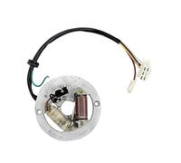 Accessorio piastra statore magnete accensione bobina per Professional