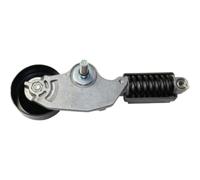 Accessorio Tendicinghia Cinghia di Trasmissione Tenditore Automatico Pulegge Staffe Compatibile Con S80 XC90 4.4 V8 2005 2011