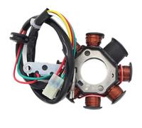accessory Bobina statore magneto compatibile con EXC CDK XC XC-W 250 EXC 300cc compatibile con TE250 TE300 Accessori statore Compatible with motociclette