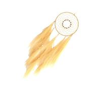 Acchiappasogni elegante ornamento da parete in erba intrecciata con nappe e perline, per camera da letto e decorazione domestica, regalo