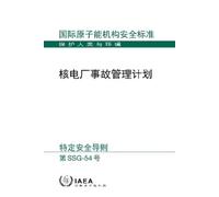 Accident Management Programmes for Nuclear Power Plants (Chinese Edi (Tascabile)