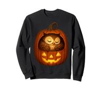 Accogliente Gufo Addormentato Dentro Zucca Jack-O'-Lantern Art Halloween Felpa