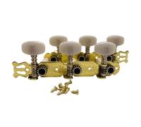 Accordature per chitarra classica Chiave Macchina Testa Sintonizzatori di corde Sostituzione Chitarra Tunings Pioli Accessori per chitarra