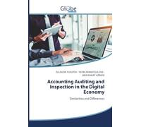 Accounting Auditing and Inspection in the Digital Economy: Similarities and Differences