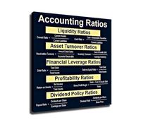 Accounting Ratios & Formulas Wall Art - Financial Analysis Guide Poster for Accountant Office & Study Room(Unframed,08X12inch(20X30cm))