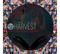 Accumulation Of The Experience