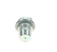 Accumulatore di pressione carburante 0 438 170 061 BOSCH per AUDI VW
