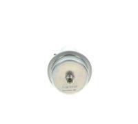 BOSCH 0 438 170 017 Accumulatore Pressione, Pressione Carburante