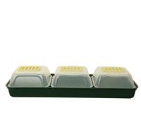 ACCURATE Set di 7 propagatori per davanzale della Finestra, Ideale per Coltivare Frutta Fresca Biologica, Verdura ed Erbe aromatiche in Colore Verde (1)