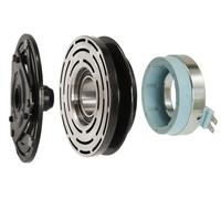 ACDelco 15-40106 Frizione Compressore Aria Condizionata Professionale