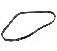 ACDelco GM Original Equipment 55510690 - Cinghia di trasmissione per accessori