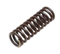 ACDelco Molla bassa e inversa del pistone della banda bassa della trasmissione automatica dell'attrezzatura originale di 8623666 servo