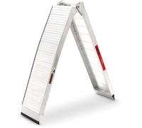 ACE Bikes Essential, rampa male