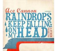 raindrops keep falling on my head & other